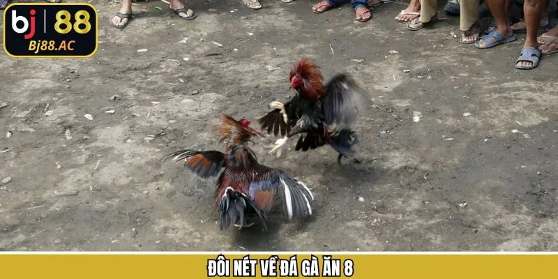 Thông tin chính về hình thức giải trí hot 2026