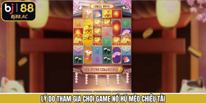 Lý do nên lựa chọn cá cược nổ hũ Mèo Chiêu Tài