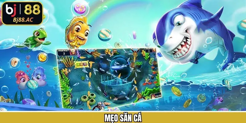 Mẹo Săn Cá - Bí Quyết Giúp Dễ Dàng Chiến Thắng Tại Bj88