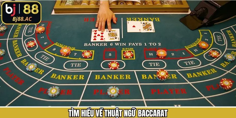 Giới thiệu về khái niệm cơ bản dành cho người mới