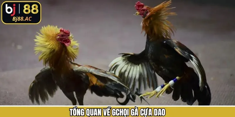 Định nghĩa chung về loại hình giải trí ăn khách