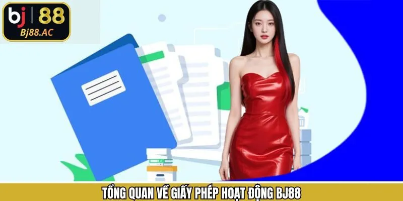 Khái quát sơ lược giấy phép hoạt động